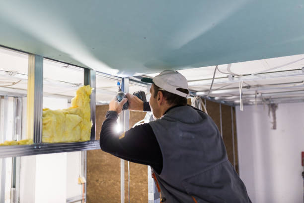 Best Insulation Installation Services in Diablo Grande, CA