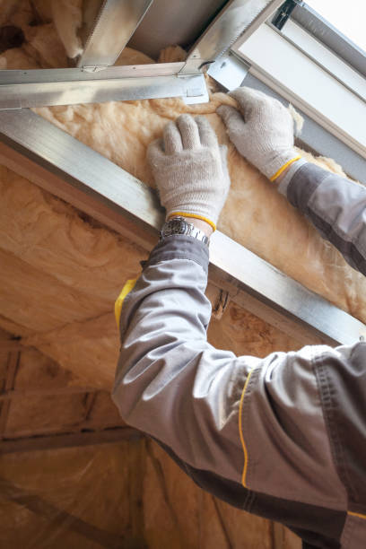 Best Specialty Insulation in Diablo Grande, CA